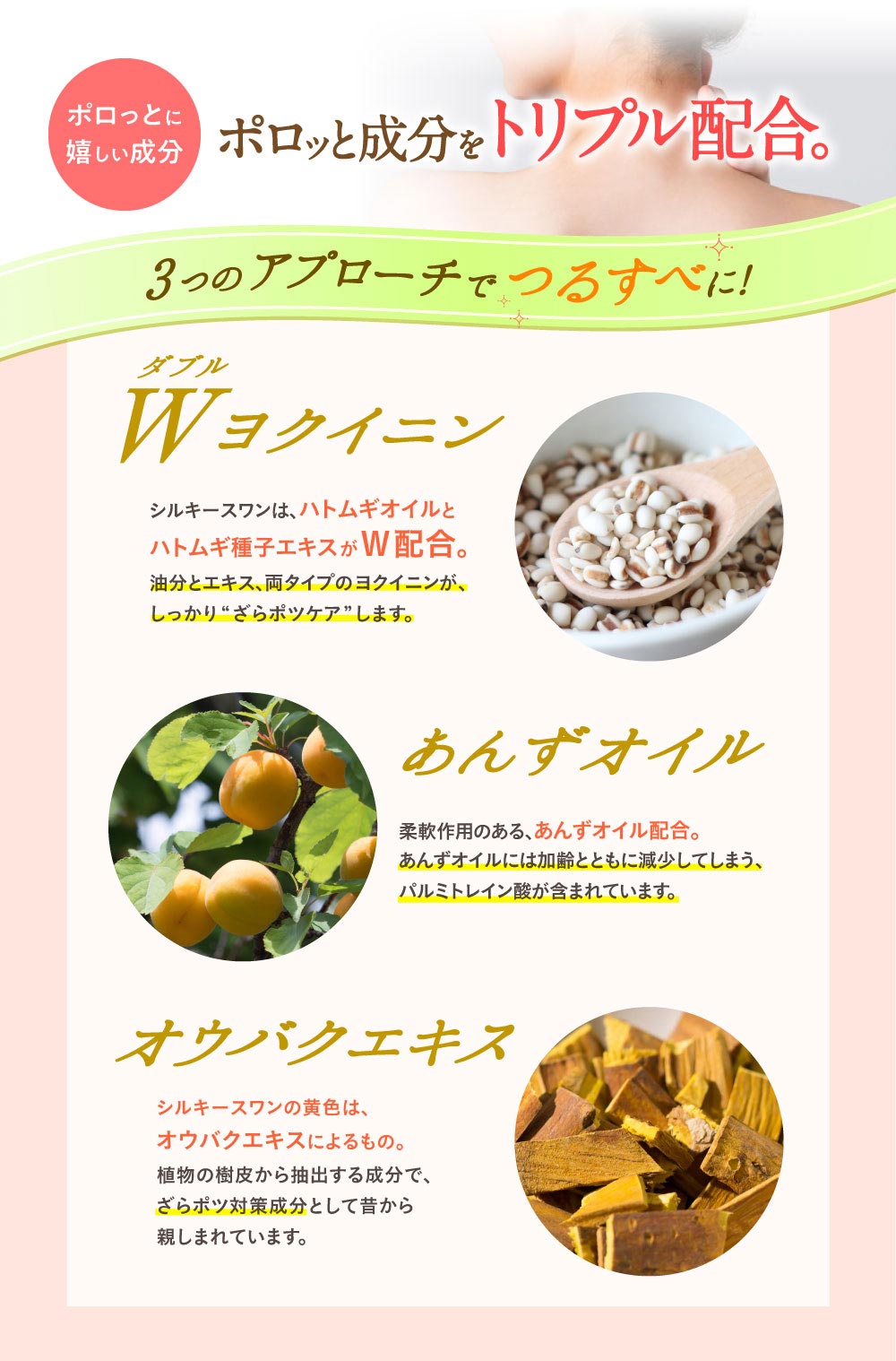 シルキースワン詳細
