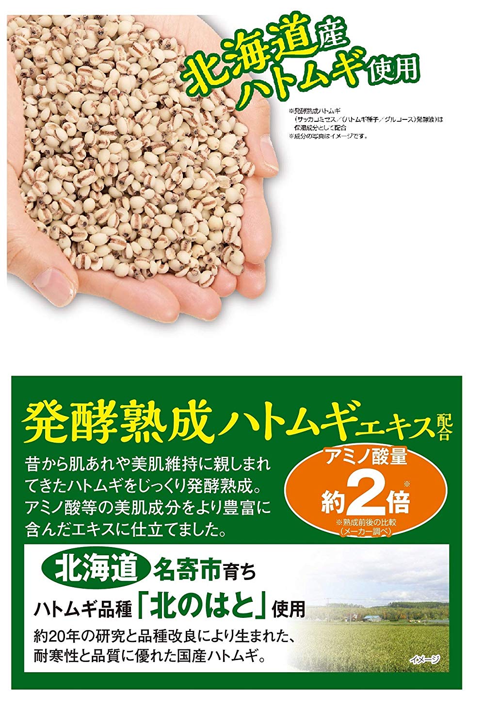北のはと